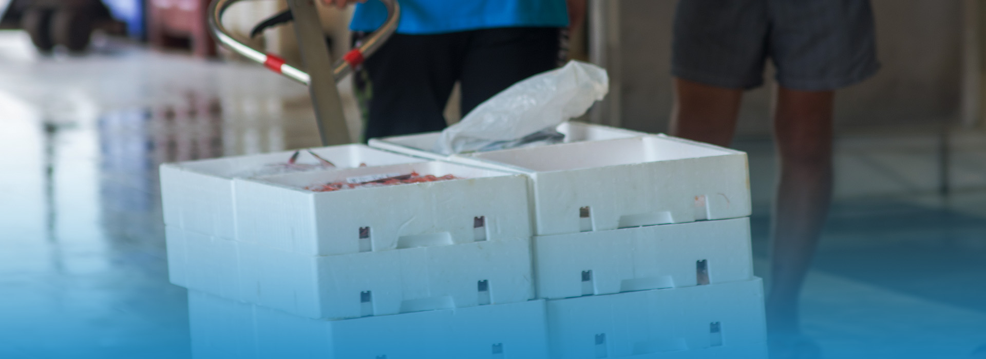 Cómo elegir al proveedor correcto más allá del precio