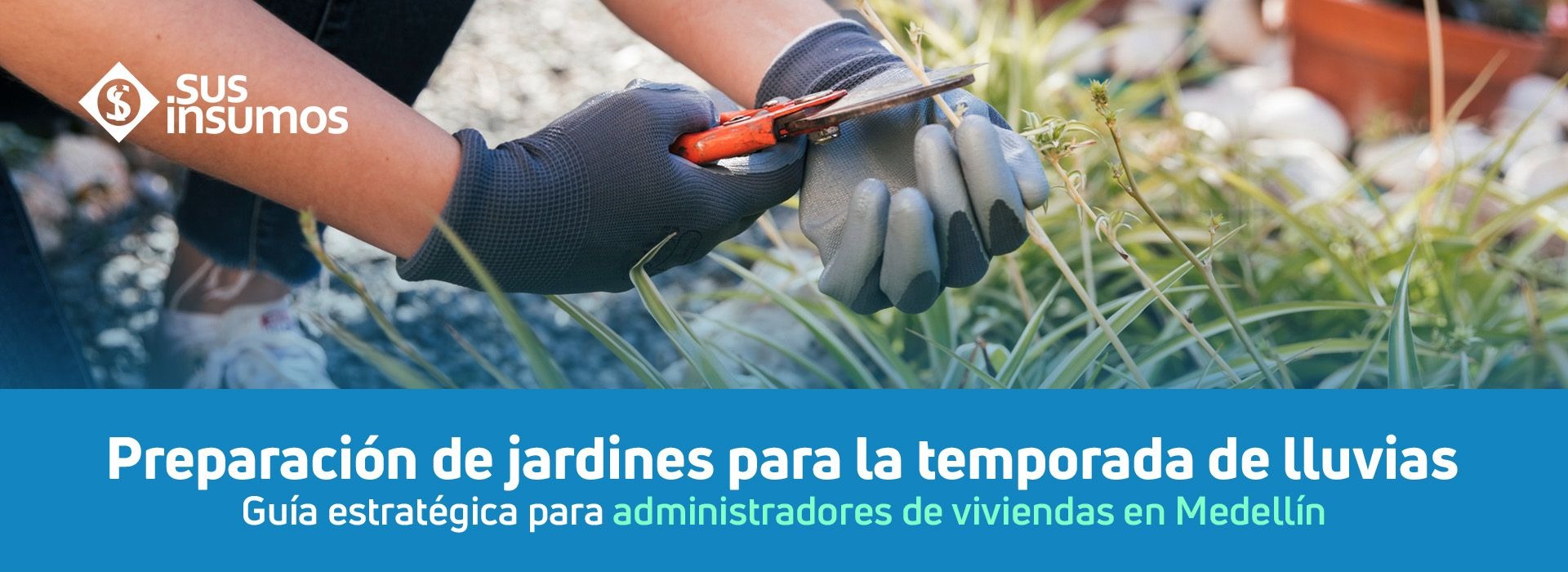 Guía para administradores de viviendas en Medellín sobre cómo preparar jardines antes de la temporada de lluvias, prevenir plagas y optimizar el mantenimiento.