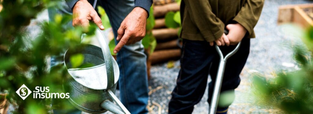 El rol de las zonas verdes en la percepción del conjunto residencial