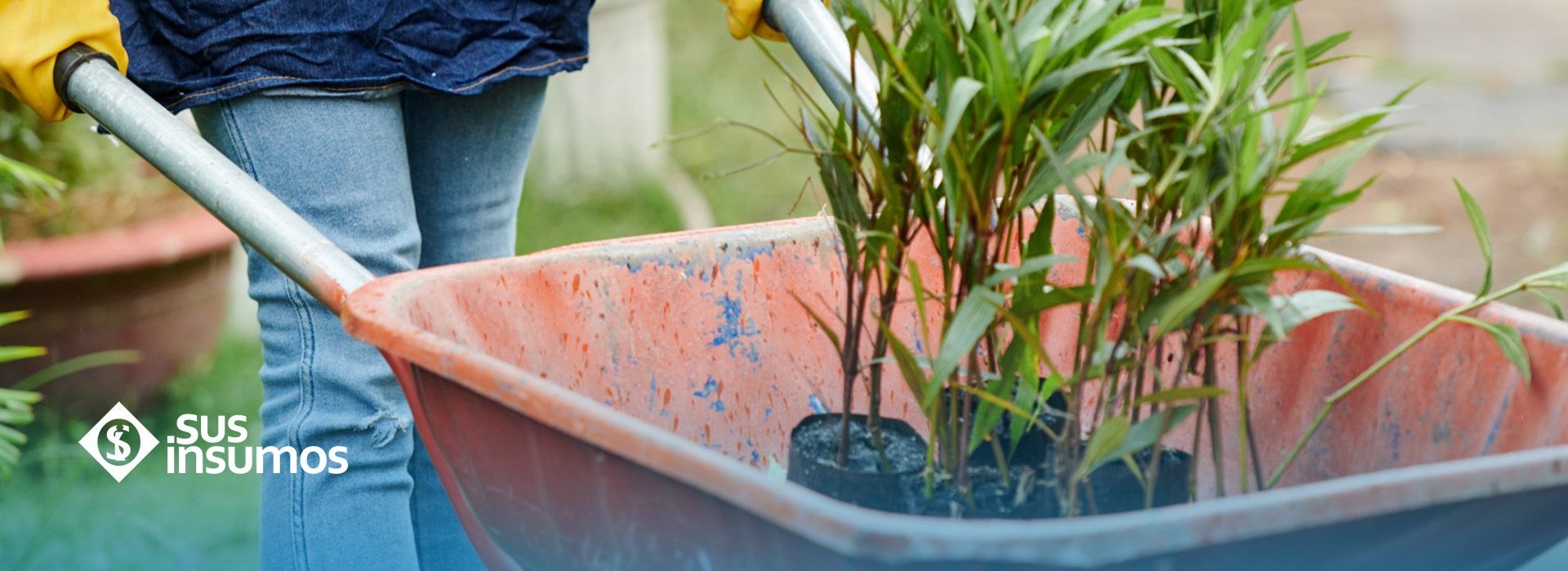 Prevención de daños estructurales relacionados con zonas verdes