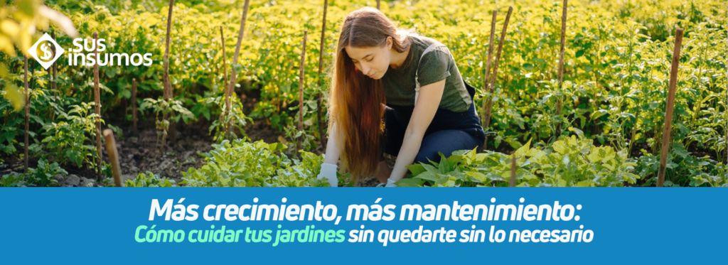 Más crecimiento, más mantenimiento: cómo cuidar tus jardines sin quedarte sin lo necesario