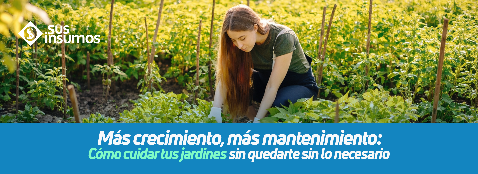 Más crecimiento, más mantenimiento: cómo cuidar tus jardines sin quedarte sin lo necesario